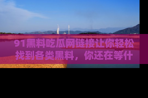 91黑料吃瓜网链接让你轻松找到各类黑料,你还在等什么呢?