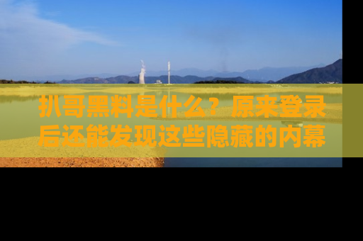 扒哥黑料是什么?原来登录后还能发现这些隐藏的内幕!