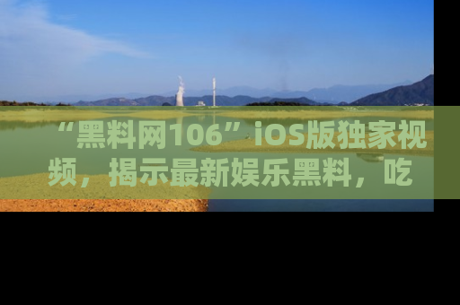 “黑料网106”iOS版独家视频，揭示最新娱乐黑料，吃瓜不停！