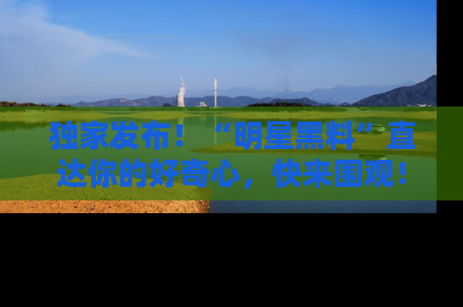独家发布！“明星黑料”直达你的好奇心，快来围观！