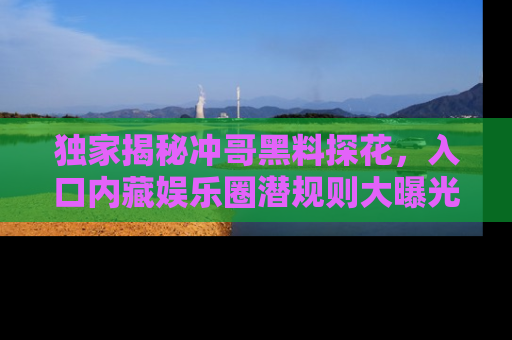 独家揭秘冲哥黑料探花，入口内藏娱乐圈潜规则大曝光