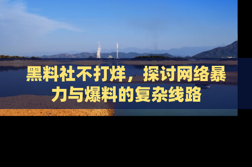 黑料社不打烊，探讨网络暴力与爆料的复杂线路