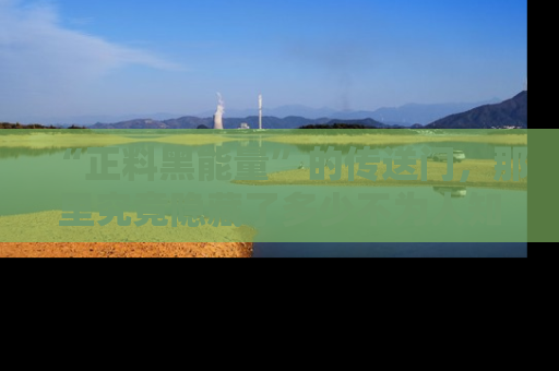 “正料黑能量”的传送门，那里究竟隐藏了多少不为人知的秘密？