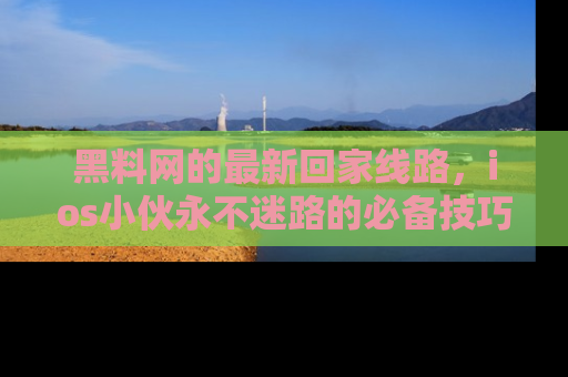 黑料网的最新回家线路，ios小伙永不迷路的必备技巧！