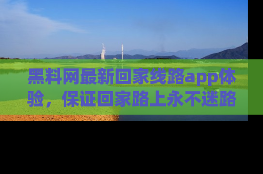 黑料网最新回家线路app体验，保证回家路上永不迷路顺畅