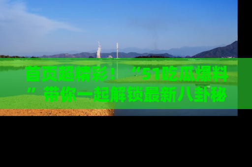 首页超精彩！“51吃瓜爆料”带你一起解锁最新八卦秘闻！