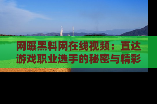 网曝黑料网在线视频：直达游戏职业选手的秘密与精彩动漫片段！