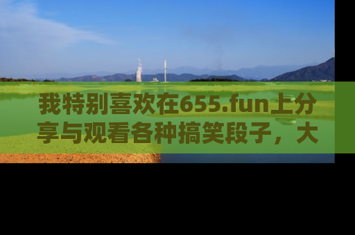我特别喜欢在655.fun上分享与观看各种搞笑段子，大家一起来享受乐趣吧！